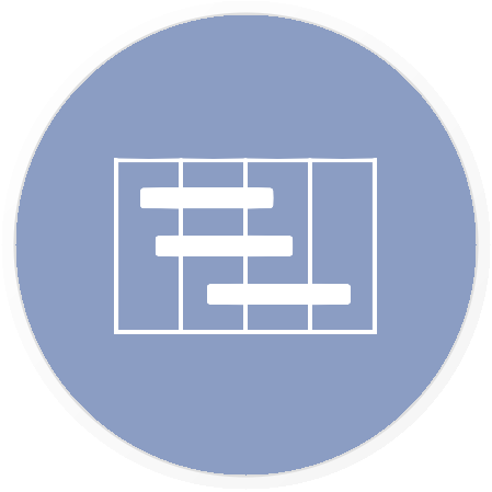 PMS Icon